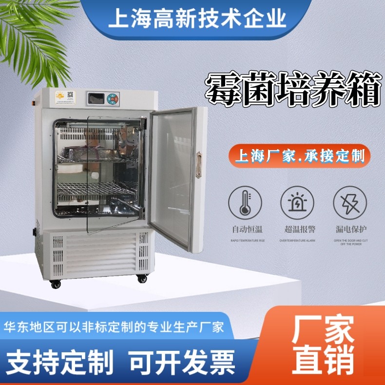 霉菌培养箱
