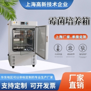 霉菌培养箱